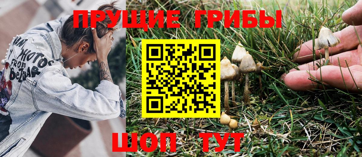 Краснодар  Псилоцибиновые грибы Magic Shrooms  Вход с VPN 