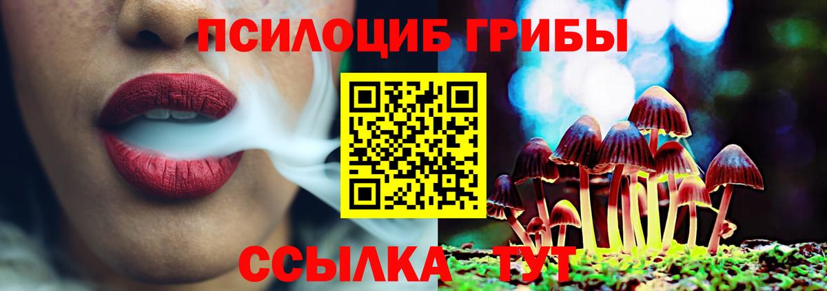 Галлюциногенные грибы Magic Shrooms Краснодар